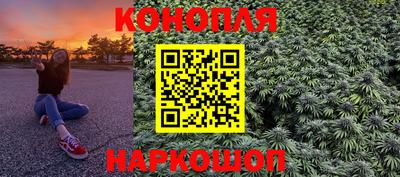 индика Усть-Илимск