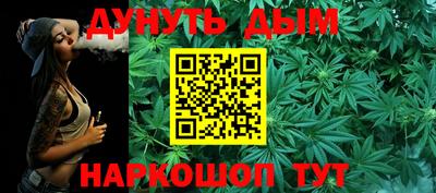индика Усть-Илимск