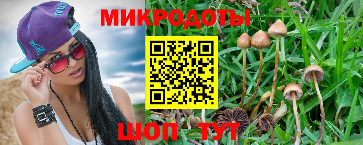 Воткинск  Галлюциногенные грибы прущие грибы  Вход с VPN  Галлюциногенные грибы Cubensis 
